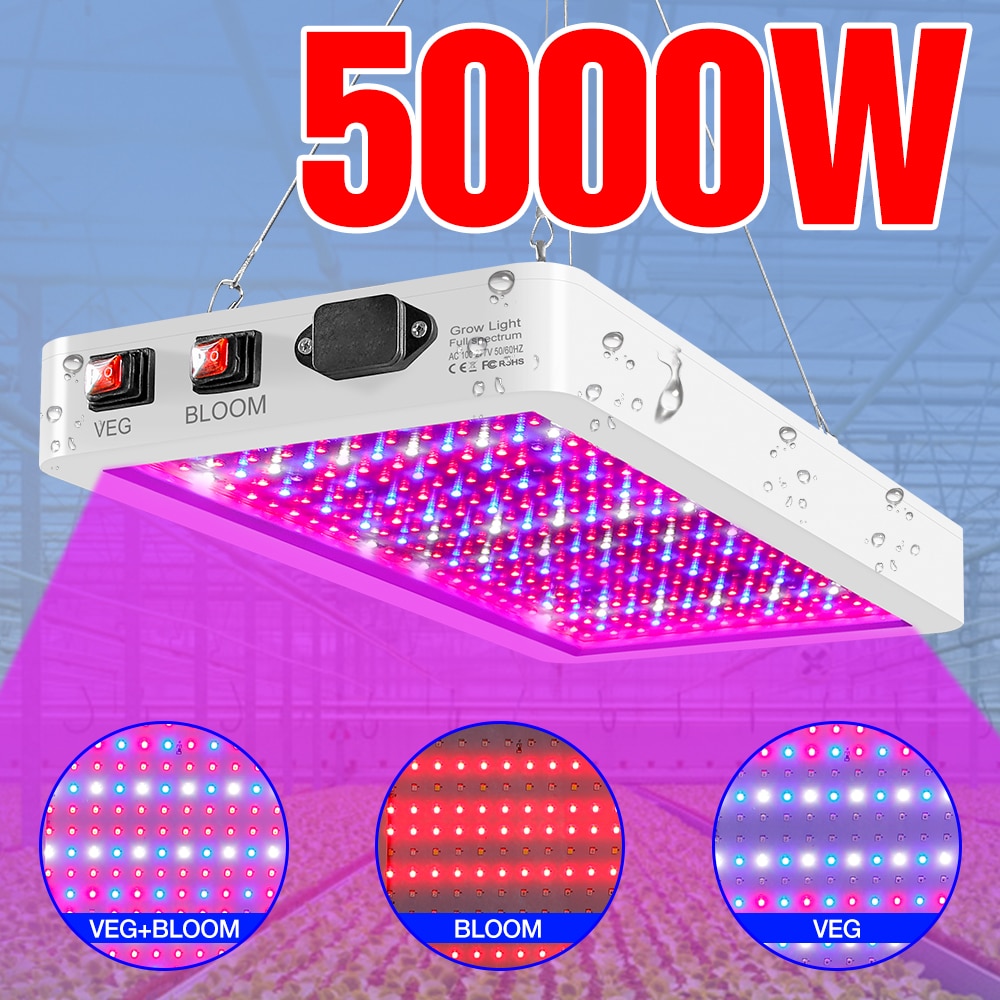 LED Fitolamp ü Ʈ Ĺ  4000W 5000W  Fi..